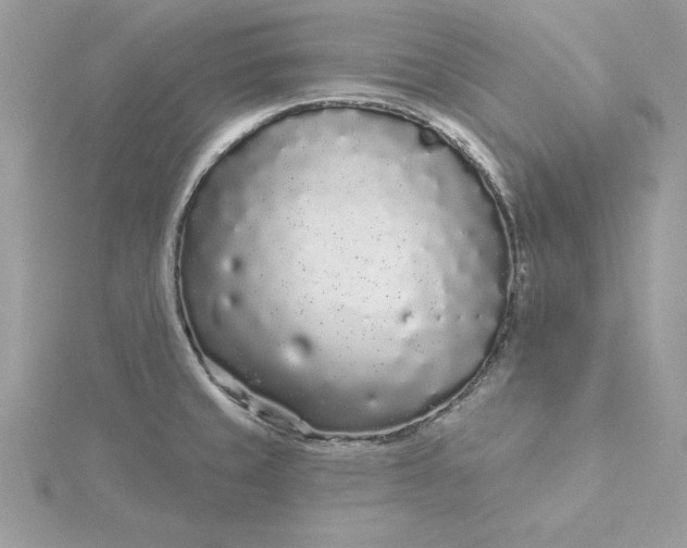 X0000116041429200912041802