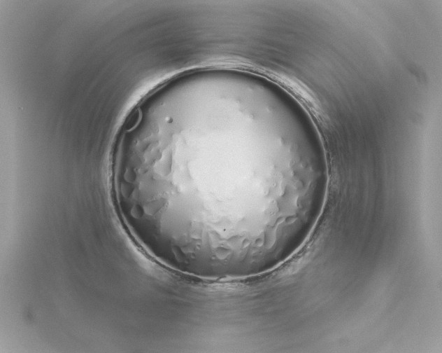 X0000116041430200912041802