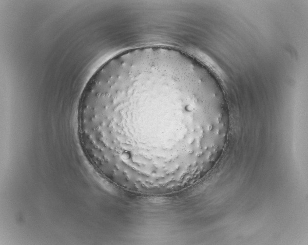 X0000116041431200912041802