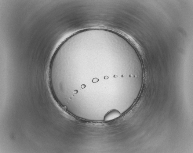 X0000116041432200912041802