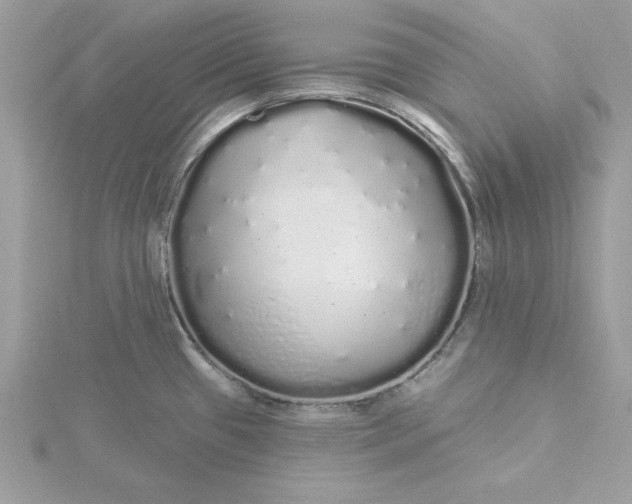 X0000116041433200912041802