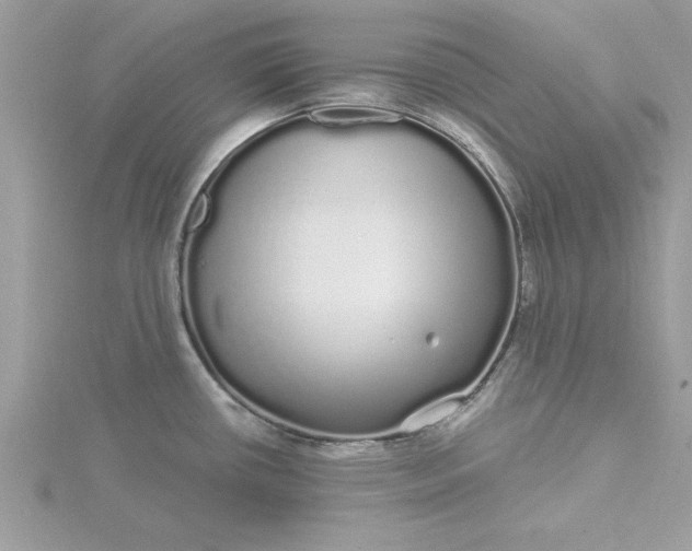 X0000116041434200912041802