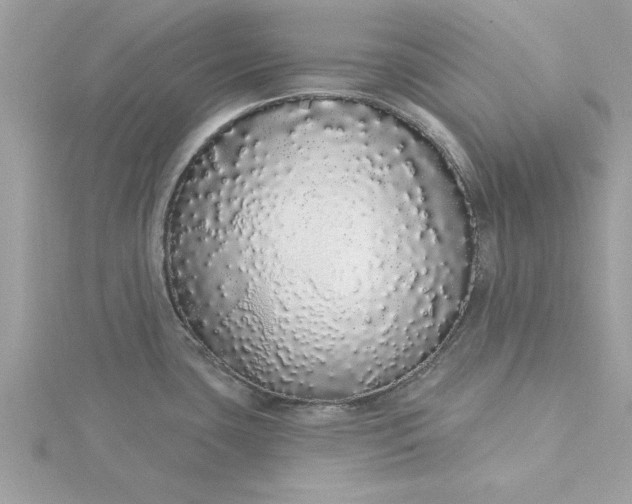 X0000116041435200912041802