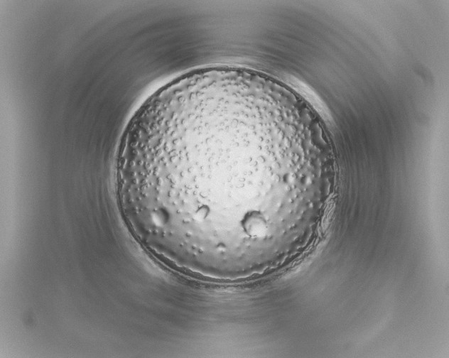 X0000116041436200912041802