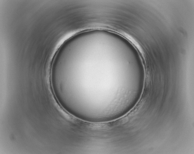 X0000116041437200912041802