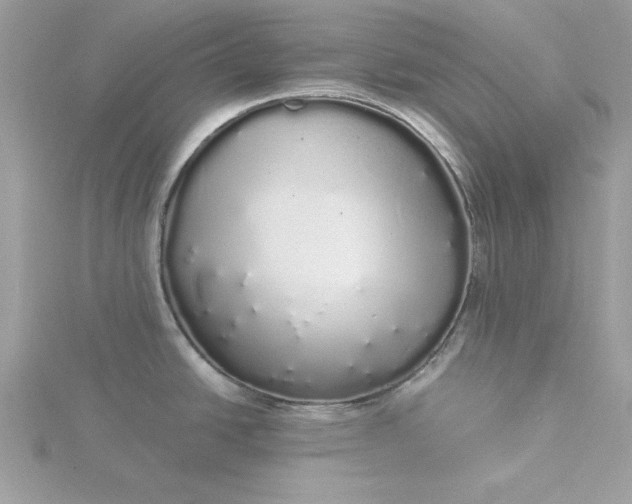 X0000116041438200912041802