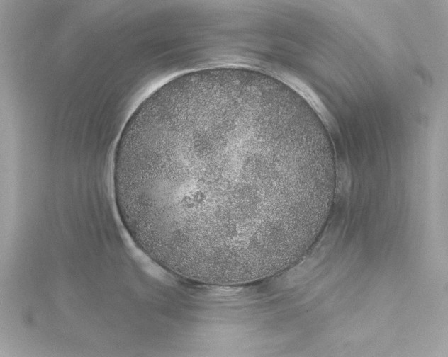 X0000116041439200912041802