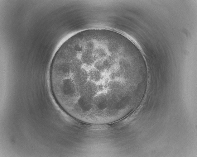 X0000116041440200912041802