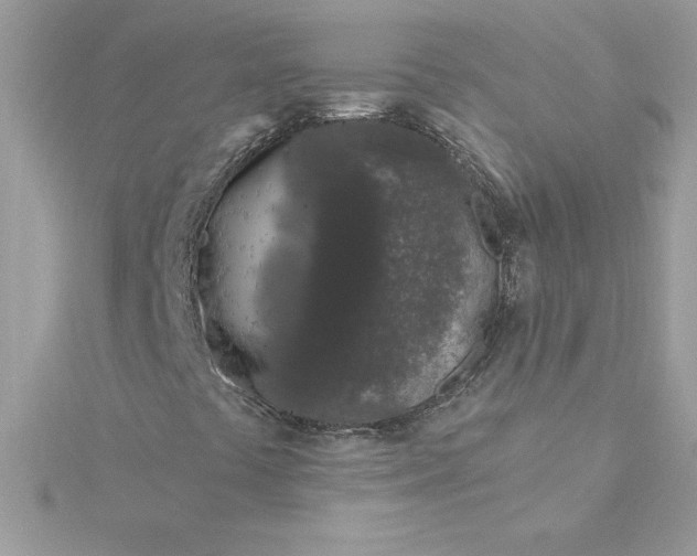 X0000116041441200912041801