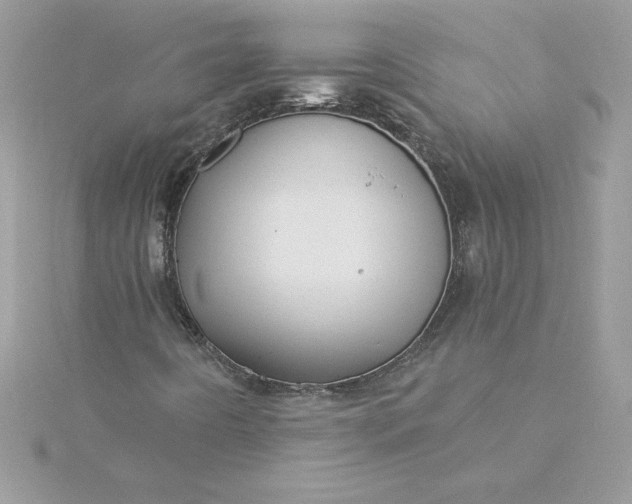 X0000116041442200912041801