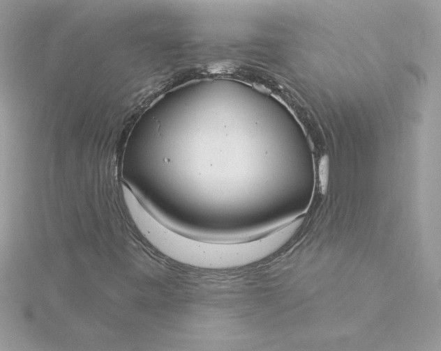 X0000116041443200912041801