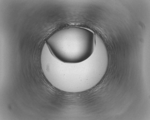 X0000116041444200912041801