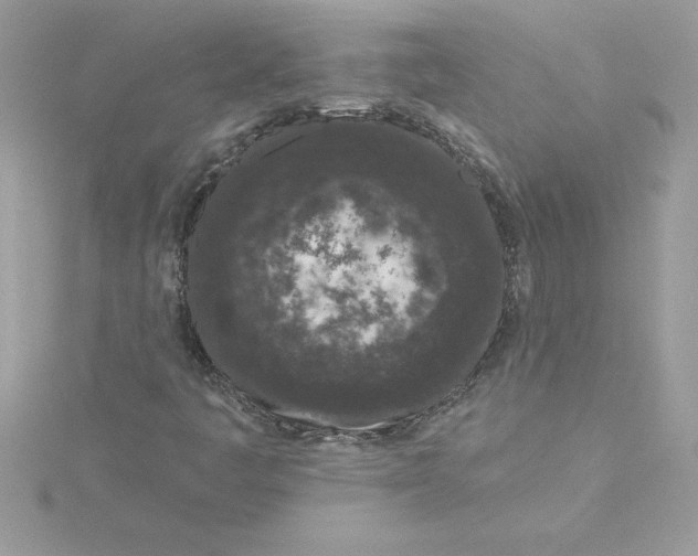 X0000116041445200912041801