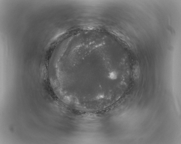 X0000116041446200912041801