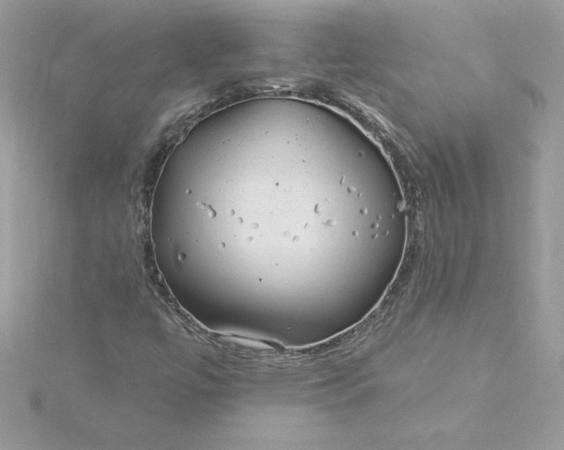 X0000116041447200912041801