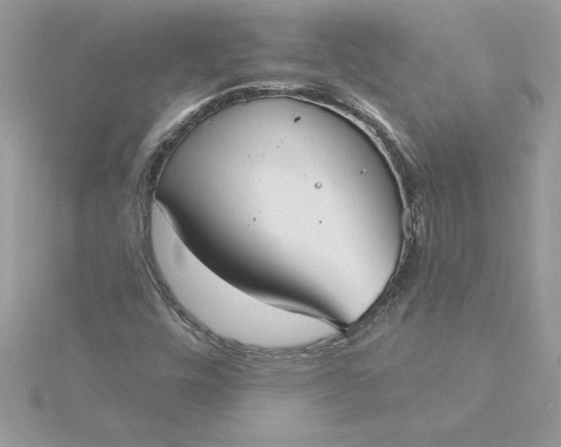 X0000116041448200912041801