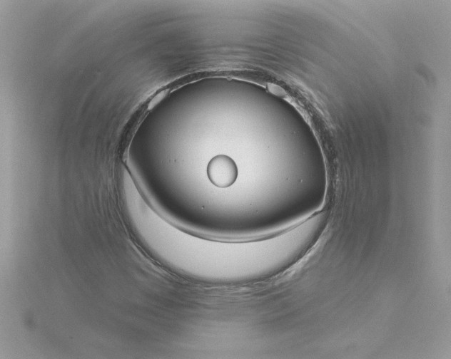 X0000116041449200912041801