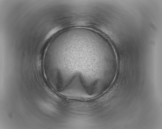 X0000116041450200912041801