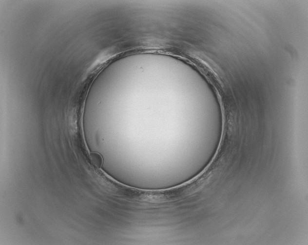 X0000116041451200912041801