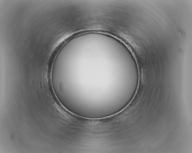 X0000116041452200912041801