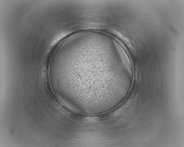 X0000116041453200912041801