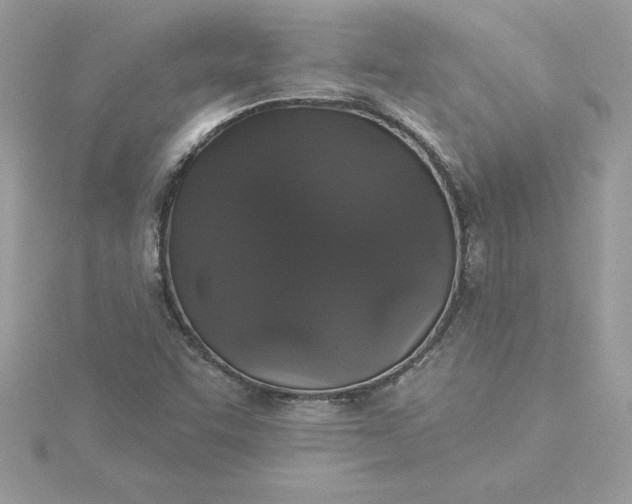 X0000116041455200912041801