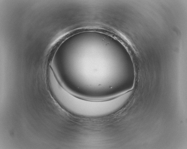 X0000116041456200912041801