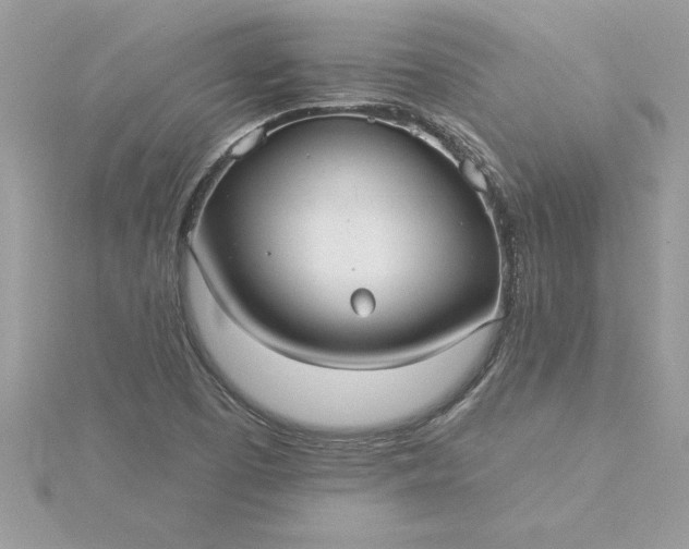 X0000116041457200912041801