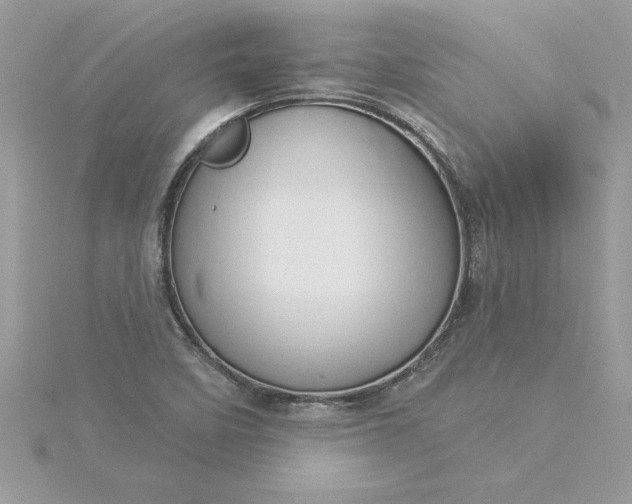 X0000116041458200912041801