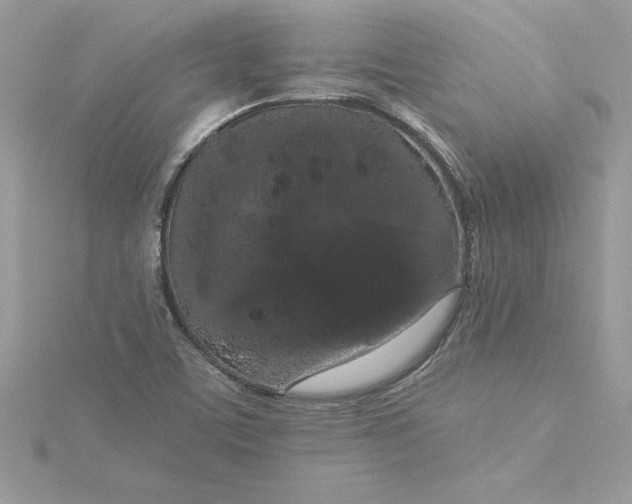 X0000116041459200912041801