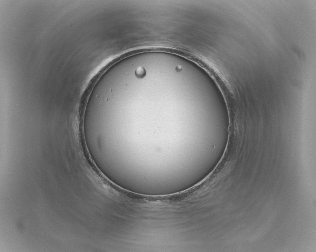 X0000116041460200912041801