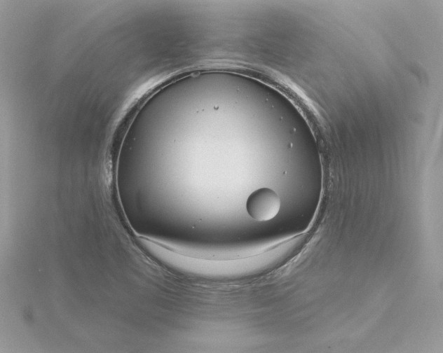 X0000116041461200912041801