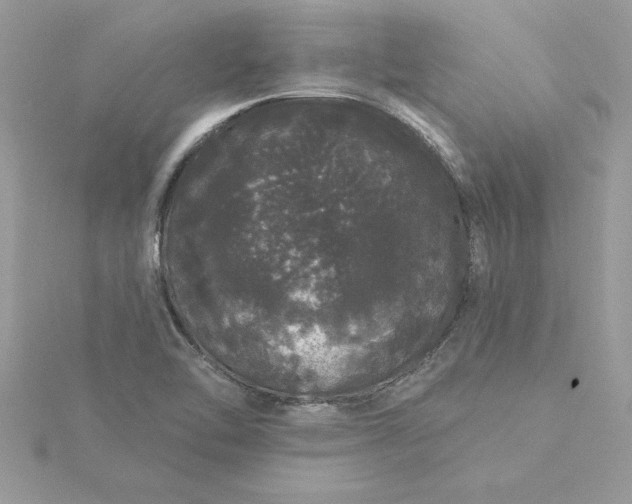 X0000116041462200912041801