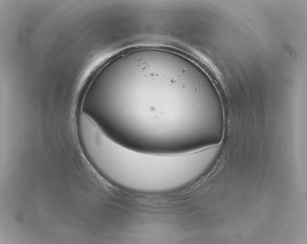 X0000116041464200912041801