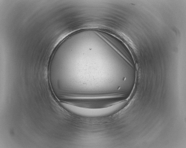 X0000116041465200912041801