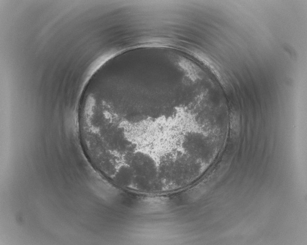 X0000116041466200912041801