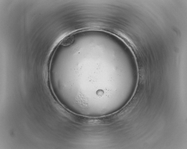 X0000116041467200912041801