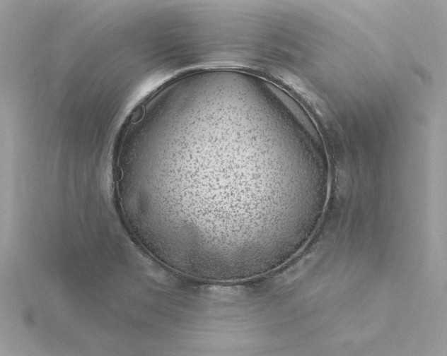 X0000116041469200912041801