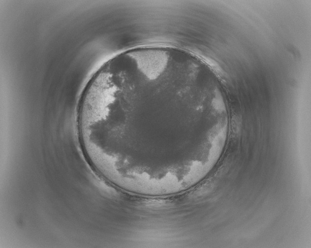 X0000116041470200912041801