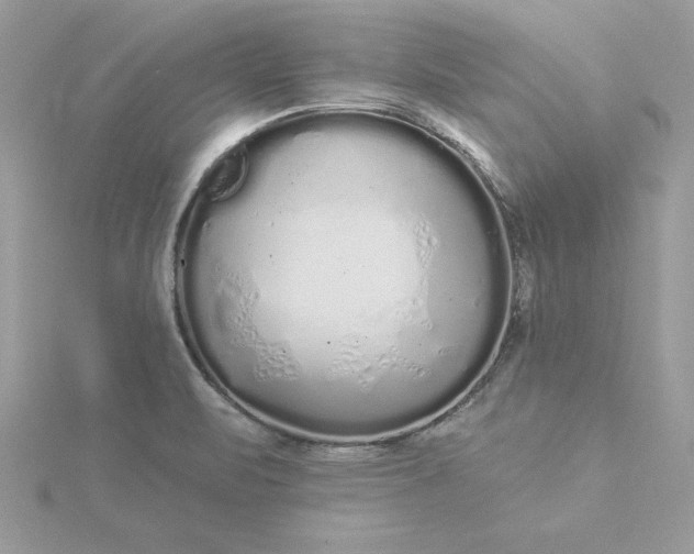 X0000116041471200912041801