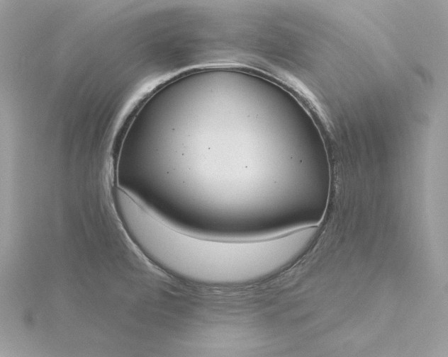 X0000116041472200912041801