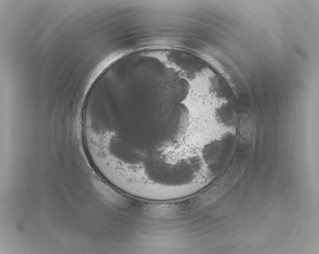 X0000116041474200912041801