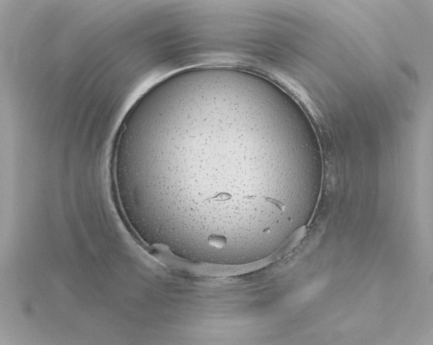 X0000116041475200912041801