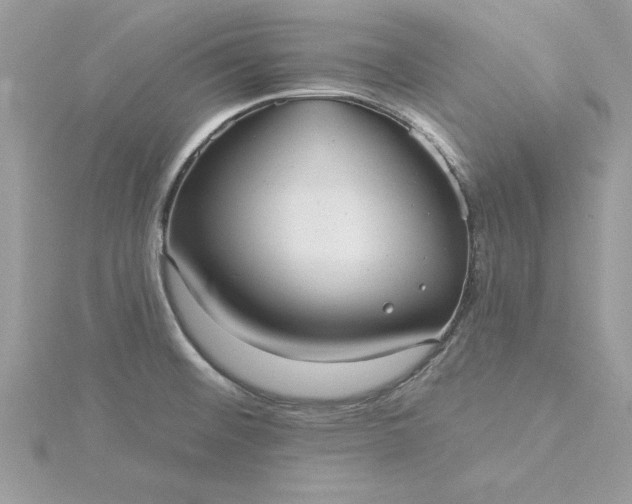 X0000116041476200912041801