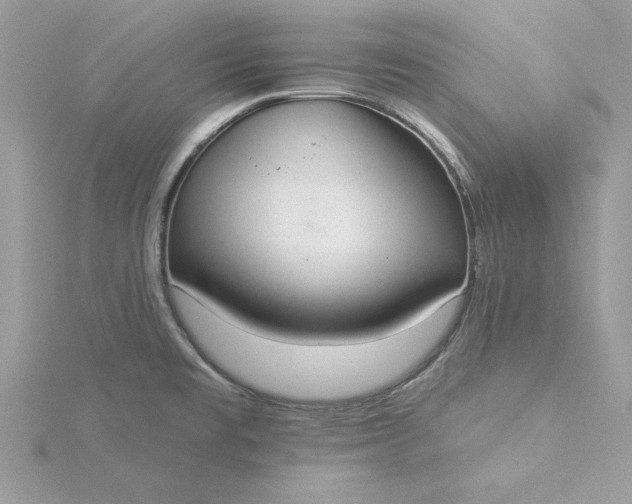 X0000116041477200912041801