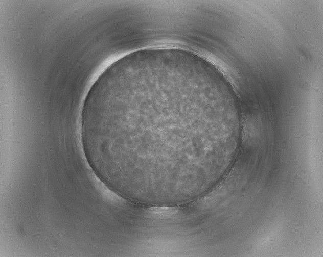 X0000116041478200912041801