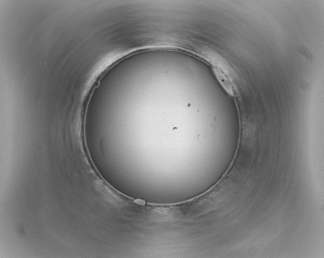 X0000116041480200912041801