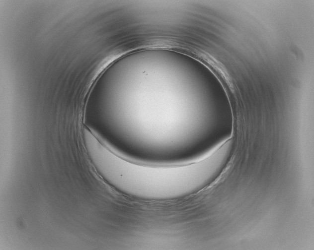 X0000116041481200912041801