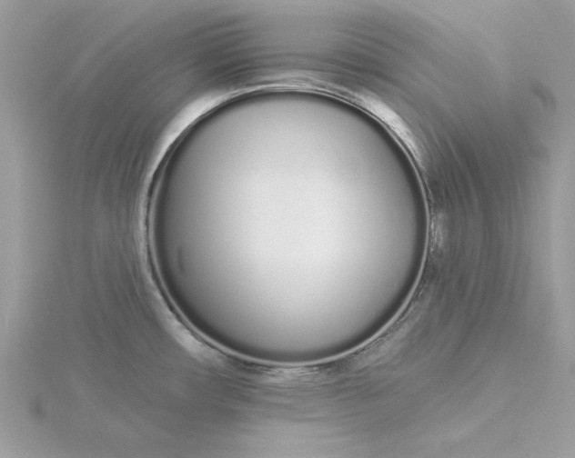 X0000116041482200912041801