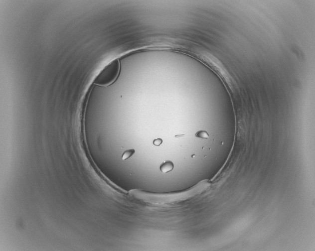 X0000116041483200912041801